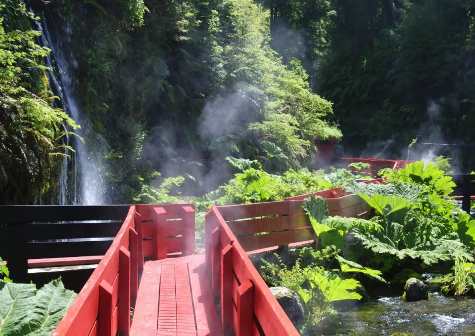 Pasarelas rojas y vapor entre el bosque de Termas Geométricas