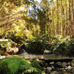 Termas de Cahuelmó en Huailahué